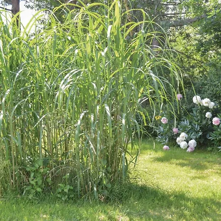 Three-bedroom With A Fireplace In بيت للعطل Melby